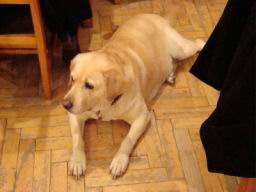 Resize of DSC06255.JPG